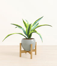 Lade das Bild in den Galerie-Viewer, Deep Ocean stand:bamboo