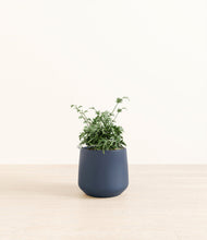 Load image into Gallery viewer, Deep Navy*****Profile