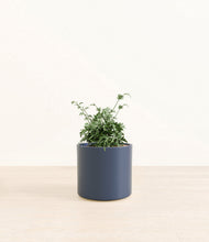 Load image into Gallery viewer, Deep Navy*****Profile