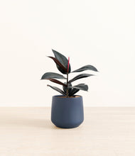 Load image into Gallery viewer, Deep Navy*****Profile