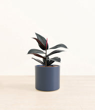 Load image into Gallery viewer, Deep Navy*****Profile