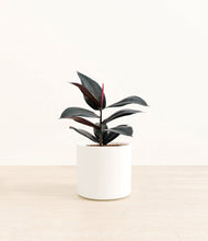 Load image into Gallery viewer, White*****Profile