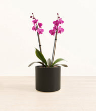 Load image into Gallery viewer, Black*****Profile