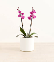 Load image into Gallery viewer, White*****Profile