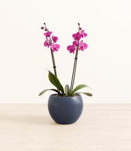 Load image into Gallery viewer, Deep Navy*****Profile