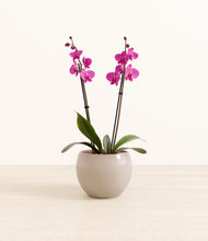 Load image into Gallery viewer, Desert Brown*****Profile