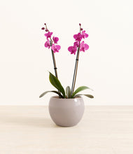 Load image into Gallery viewer, Winter Clouds*****Profile