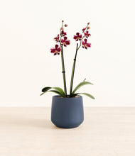 Load image into Gallery viewer, Deep Navy*****Profile