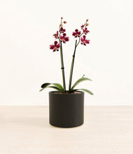 Load image into Gallery viewer, Black*****Profile