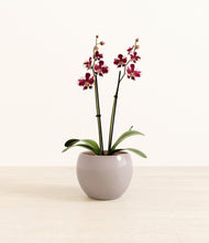 Load image into Gallery viewer, Winter Clouds*****Profile