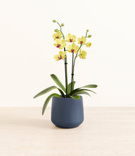 Load image into Gallery viewer, Deep Navy*****Profile