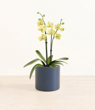 Load image into Gallery viewer, Deep Navy*****Profile