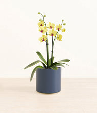 Load image into Gallery viewer, Deep Navy*****Profile