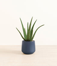 Load image into Gallery viewer, Deep Navy*****Profile