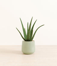 Load image into Gallery viewer, Turquoise*****Profile