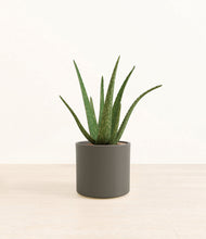 Load image into Gallery viewer, Dark Olive*****Profile