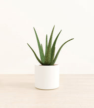 Load image into Gallery viewer, White*****Profile