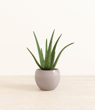 Load image into Gallery viewer, Winter Clouds*****Profile