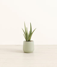 Load image into Gallery viewer, Turquoise*****Profile