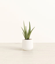 Load image into Gallery viewer, White*****Profile