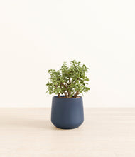 Load image into Gallery viewer, Deep Navy*****Profile