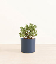 Load image into Gallery viewer, Deep Navy*****Profile