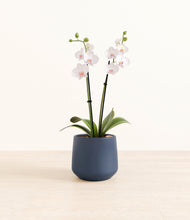 Load image into Gallery viewer, Deep Navy*****Profile