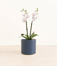 Load image into Gallery viewer, Deep Navy*****Profile