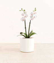 Load image into Gallery viewer, White*****Profile