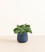 Load image into Gallery viewer, Deep Navy*****Profile