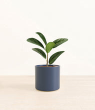 Load image into Gallery viewer, Deep Navy*****Profile