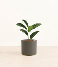 Load image into Gallery viewer, Dark Olive*****Profile