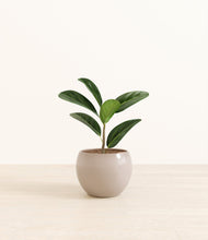 Load image into Gallery viewer, Desert Brown*****Profile
