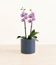 Load image into Gallery viewer, Deep Navy*****Profile