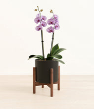 Load image into Gallery viewer, Black stand:bamboo