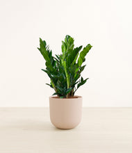 Load image into Gallery viewer, Sandy Pink*****Profile