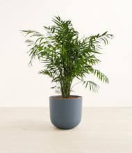 Load image into Gallery viewer, Iron Gray*****Profile