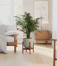 Load image into Gallery viewer, Sage Green stand:walnut