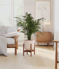 Load image into Gallery viewer, Sandy Pink stand:walnut