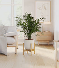 Load image into Gallery viewer, Natural Bamboo stand:bamboo
