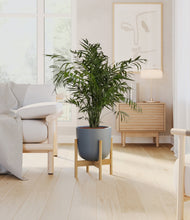 Load image into Gallery viewer, Iron Gray stand:bamboo