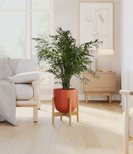 Load image into Gallery viewer, Earth Red stand:bamboo
