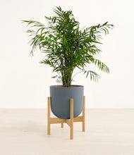 Load image into Gallery viewer, Iron Gray stand:bamboo