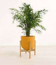 Load image into Gallery viewer, Sunset Orange stand:bamboo