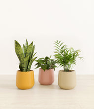 Load image into Gallery viewer, Emerald Trinity