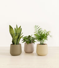 Load image into Gallery viewer, Woodland*****Profile