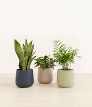 Load image into Gallery viewer, Winding River*****Profile