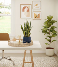 Load image into Gallery viewer, Midnight Moon