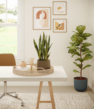 Load image into Gallery viewer, Misty Night