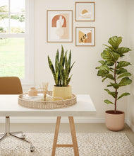 Load image into Gallery viewer, Desert